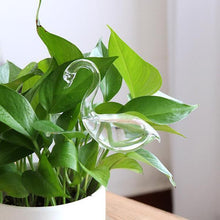 Load image into Gallery viewer, Self-Watering Plant Glass Bulbs(2Pcs)
