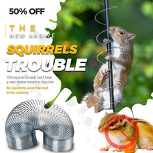 Load image into Gallery viewer, Squirrels Trouble