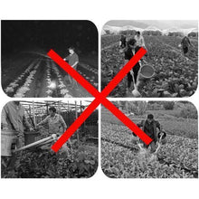 Load image into Gallery viewer, Agriculture Atomizer Nozzles