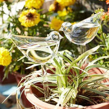 Load image into Gallery viewer, Self-Watering Plant Glass Bulbs(2Pcs)