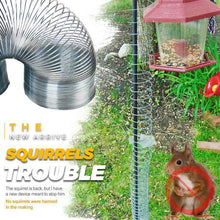 Load image into Gallery viewer, Squirrels Trouble