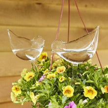 Load image into Gallery viewer, Self-Watering Plant Glass Bulbs(2Pcs)