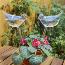 Load image into Gallery viewer, Self-Watering Plant Glass Bulbs(2Pcs)