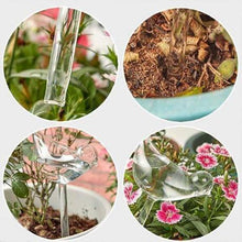 Load image into Gallery viewer, Self-Watering Plant Glass Bulbs(2Pcs)
