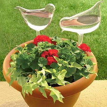 Load image into Gallery viewer, Self-Watering Plant Glass Bulbs(2Pcs)
