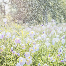 Load image into Gallery viewer, Versatile Watering Sprinkler