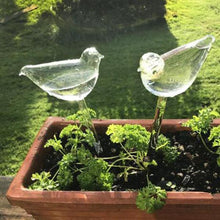 Load image into Gallery viewer, Self-Watering Plant Glass Bulbs(2Pcs)