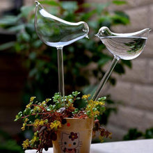 Load image into Gallery viewer, Self-Watering Plant Glass Bulbs(2Pcs)