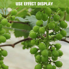 Load image into Gallery viewer, Expanded Fruit Puller