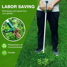 Load image into Gallery viewer, Standing Plant Root Remover